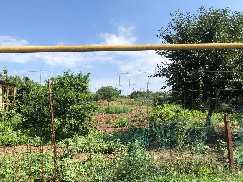 Участок в Краснодарский край, Темрюкский район, Курчанское с/пос, пос. ... - Фото 1