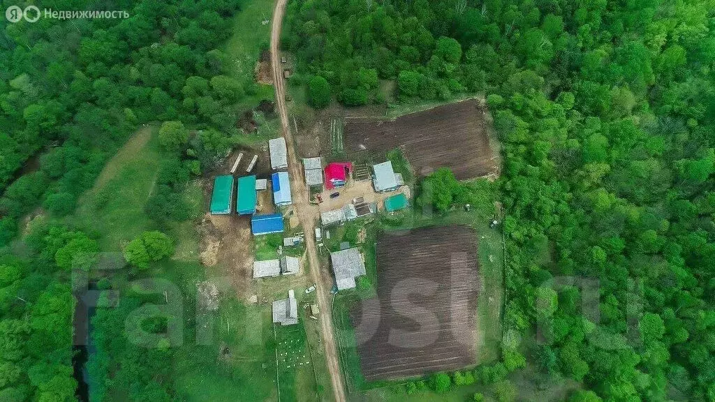 Дом в Приморский край, Анучинский муниципальный округ, усадьба ... - Фото 2