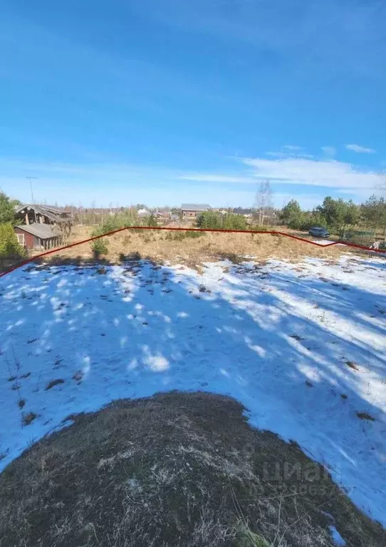 Участок в Ленинградская область, Кингисеппский район, Нежновское ... - Фото 2