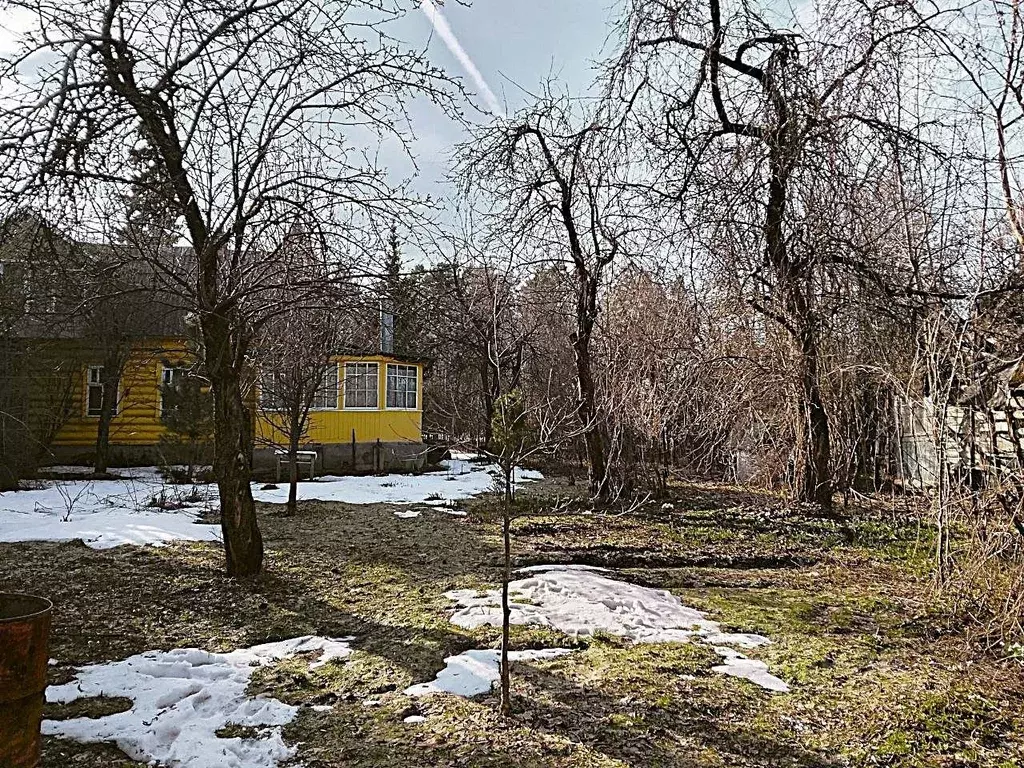 Участок в Московская область, Щелково городской округ, Загорянский пгт ... - Фото 1