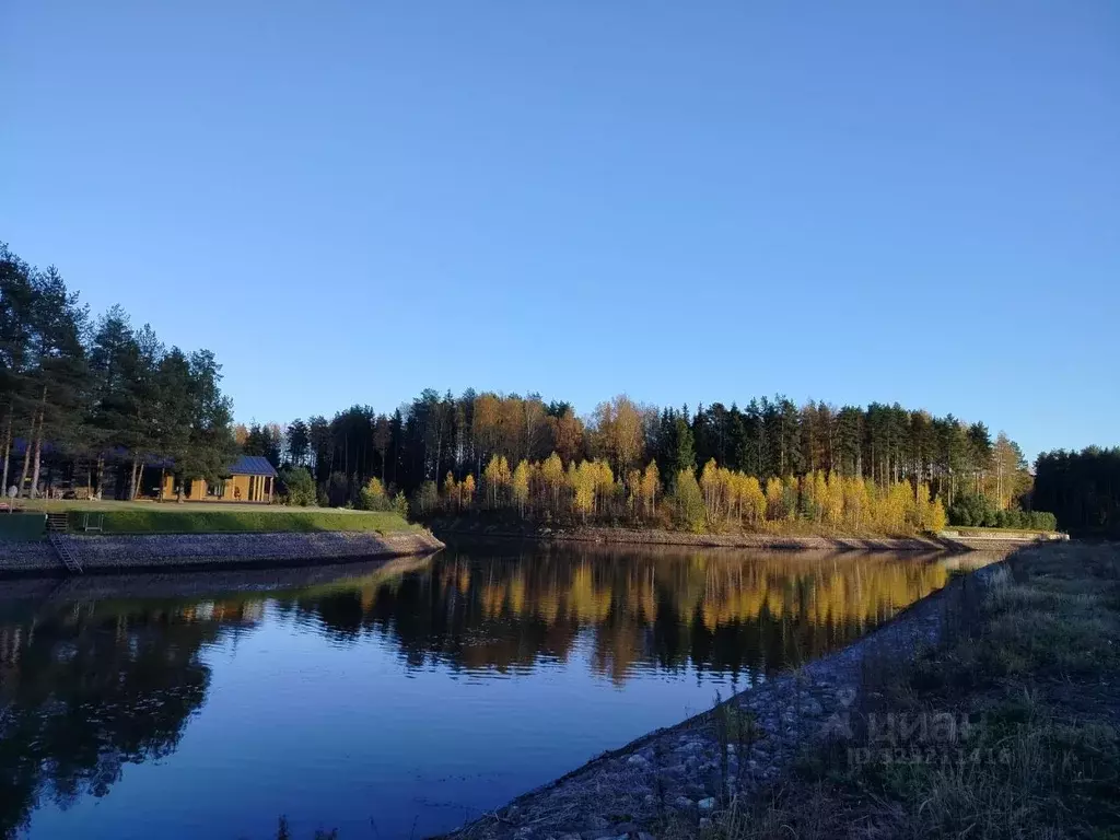 Участок в Ярославская область, Рыбинский муниципальный округ, д. ... - Фото 1