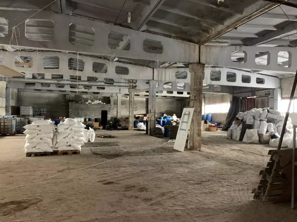 Помещение свободного назначения в Самарская область, Чапаевск ... - Фото 1