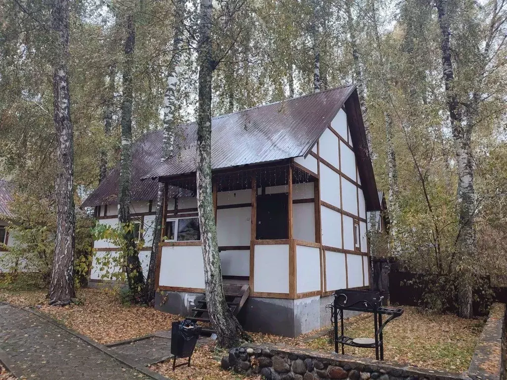 Дом в Алтайский край, Алтайский район, с. Ая Катунская ул., 7А (46 м) - Фото 0