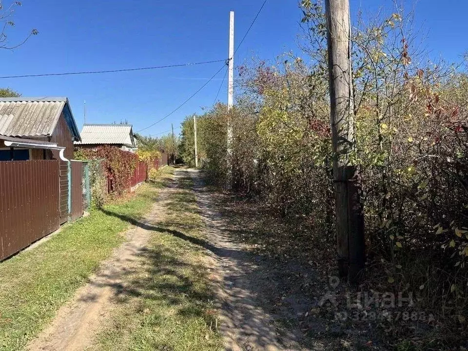 Участок в Воронежская область, Семилукский район, Стрелица рп, Горняк ... - Фото 2