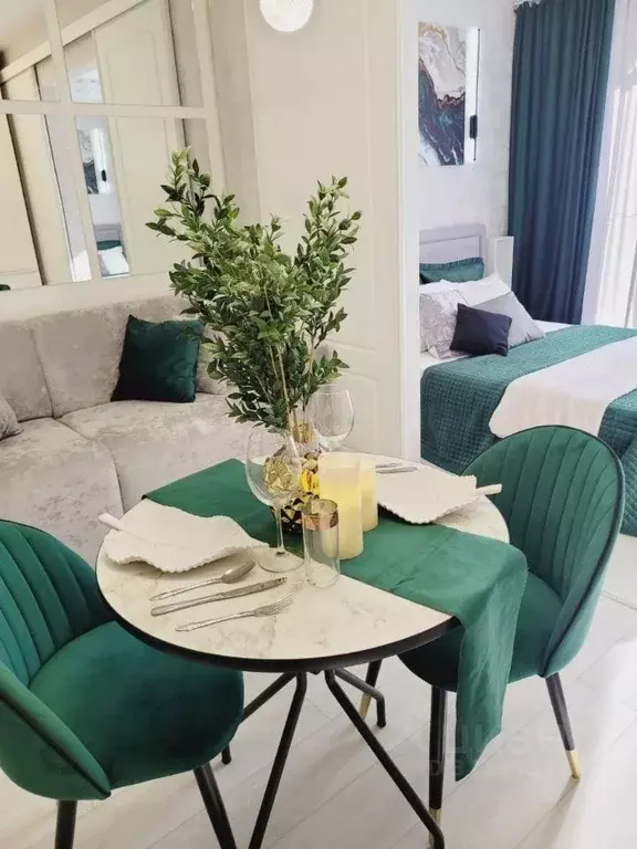 Студия Краснодарский край, Сочи ул. Ленина, 290/8к2 (25.3 м) - Фото 1