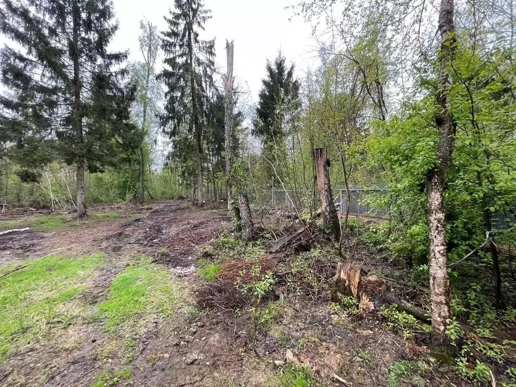 Участок в Московская область, Одинцовский городской округ, Рублевский ... - Фото 1