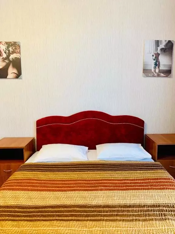 1-к кв. Санкт-Петербург Пулковское ш., 14с6 (27.0 м) - Фото 0