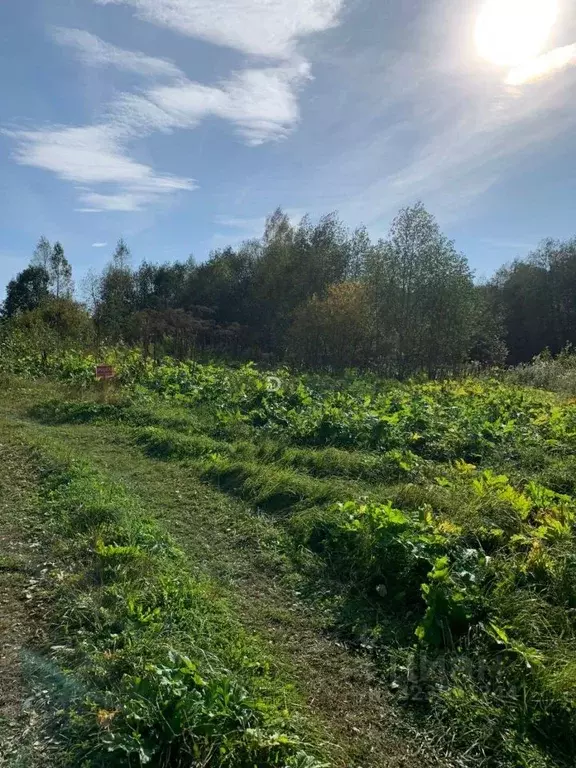 Участок в Тверская область, Старицкий муниципальный округ, д. Заречье  ... - Фото 2