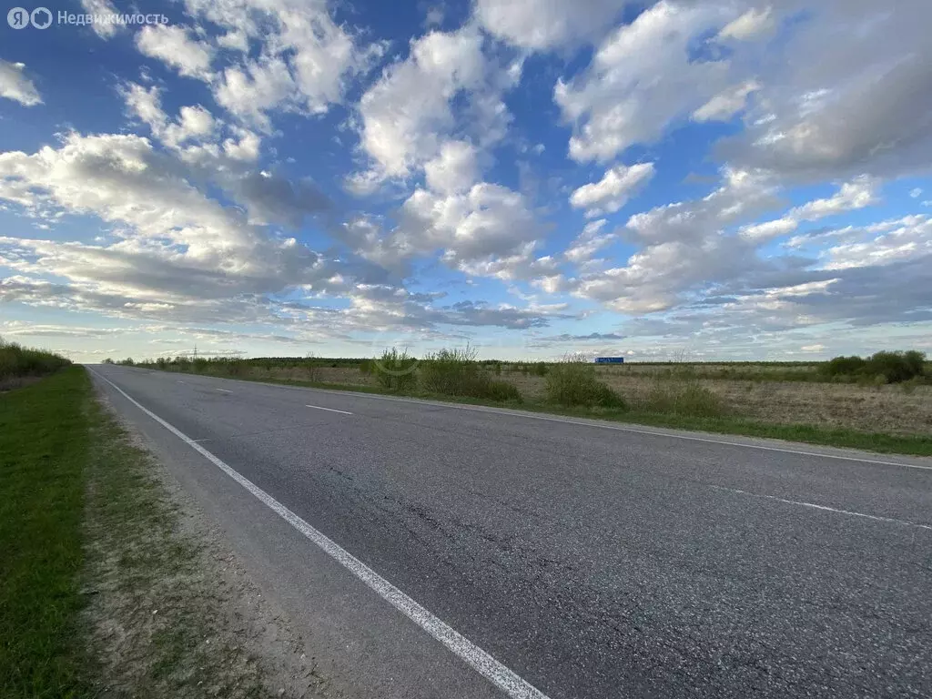 Участок в Бабынинский район, городское поселение Воротынск, село ... - Фото 0