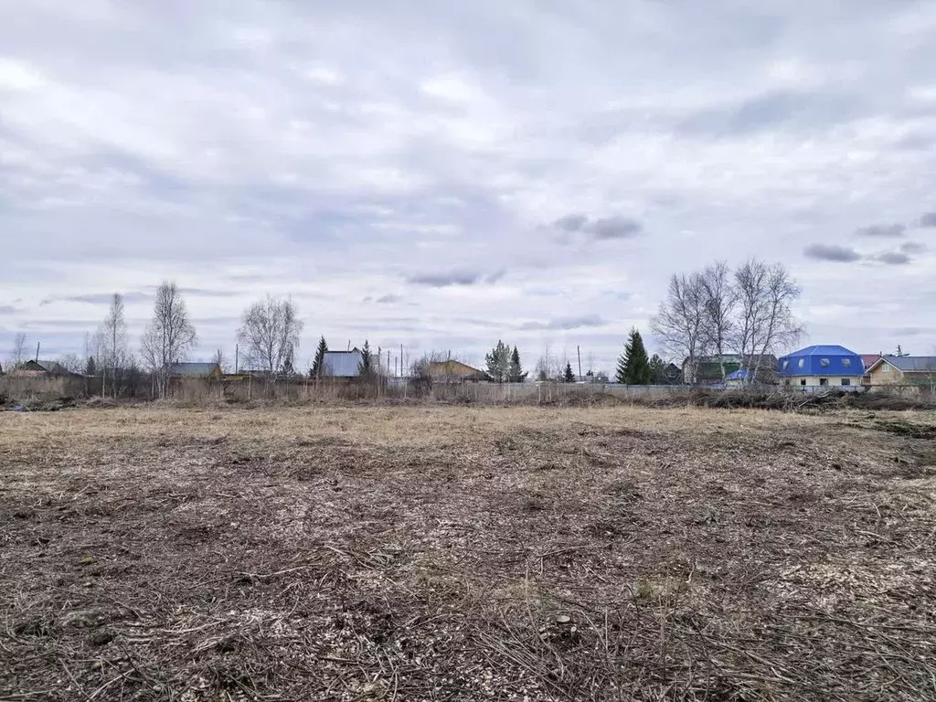 Участок в Тюменская область, Тюмень Ясень садовое товарищество, ул. ... - Фото 0
