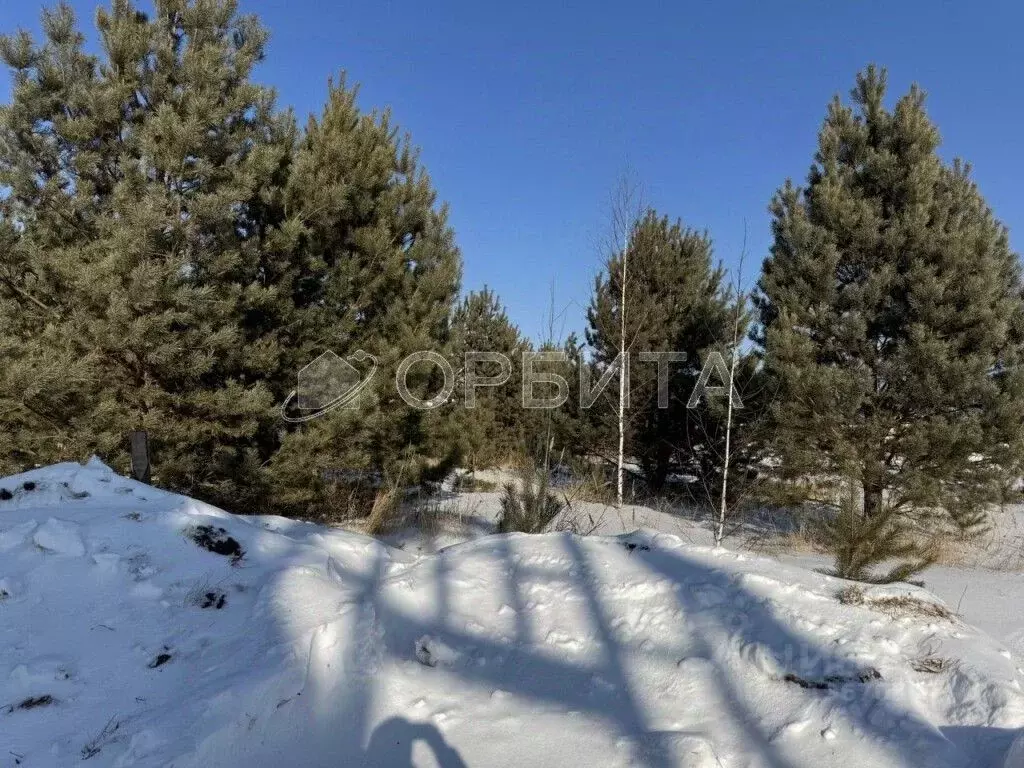 Участок в Тюменская область, Тюменский муниципальный округ, д. ... - Фото 1