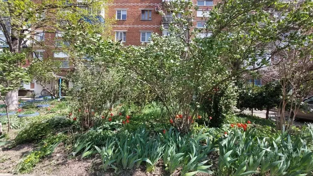 1-к кв. Краснодарский край, Северский район, Афипское городское ... - Фото 1