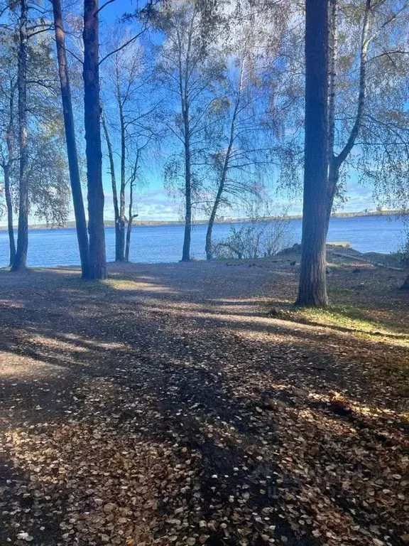 Участок в Свердловская область, Заречный Центральный гаражный ... - Фото 2