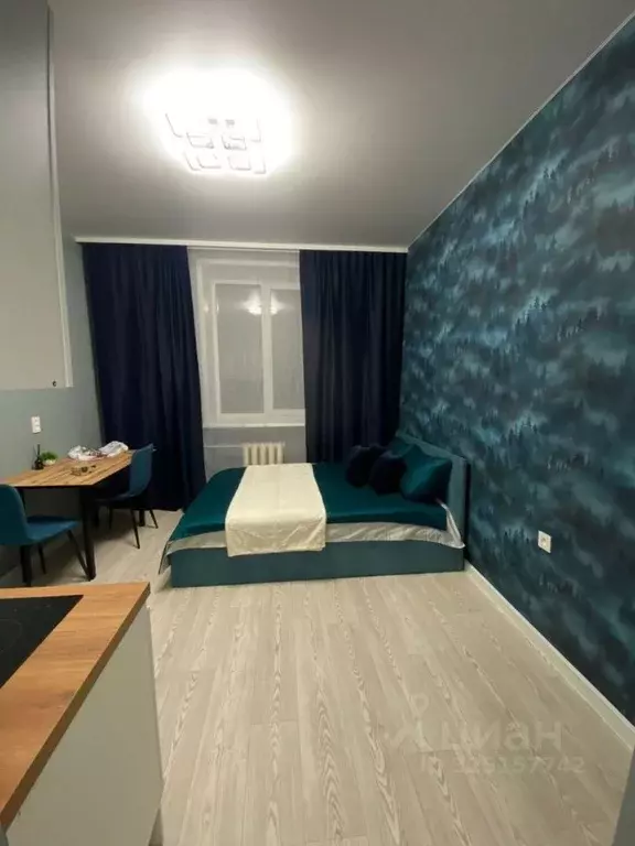 Студия Воронежская область, Воронеж ул. Торпедо, 34 (18.9 м) - Фото 2