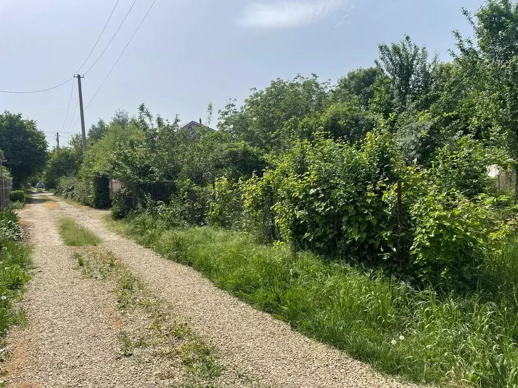 Участок в Краснодарский край, Краснодар Победитель СНТ, ул. Лазарева ... - Фото 2