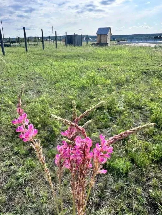 Участок в Саха (Якутия), Якутск Победа СОНТ, 128Д (10.0 сот.) - Фото 2