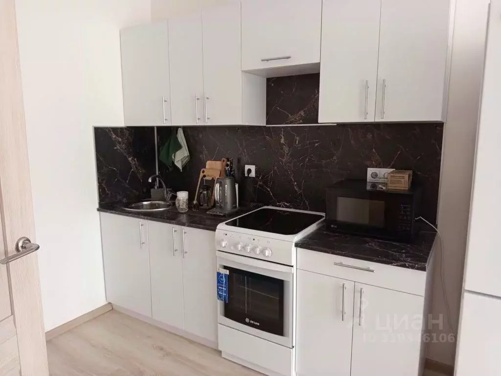 1-к кв. Нижегородская область, Нижний Новгород д. Анкудиновка, ул. ... - Фото 1