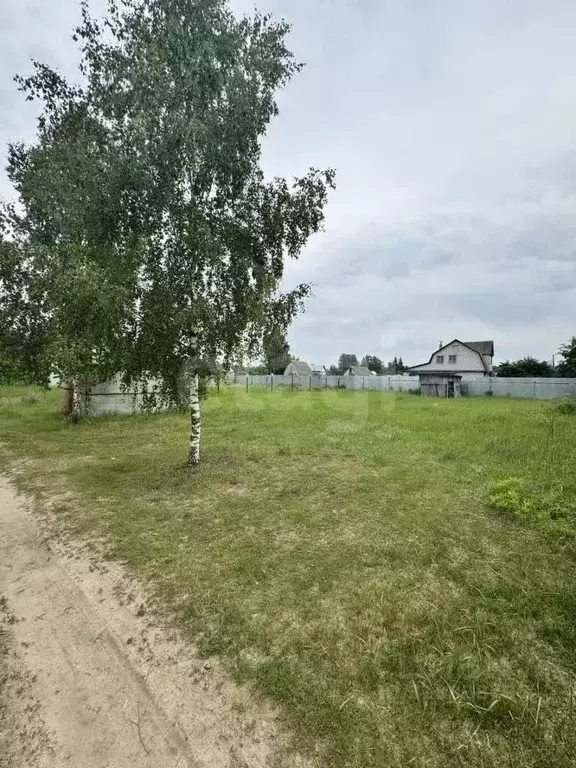 Участок в Брянская область, Брянский район, Нетьинское с/пос, Нетьинка ... - Фото 0