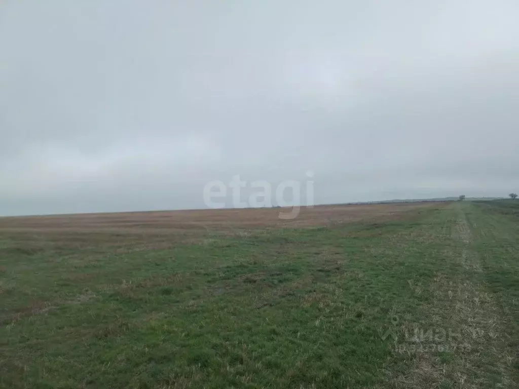 Участок в Крым, Ленинский район, Семисотское с/пос, с. Каменское ул. ... - Фото 1