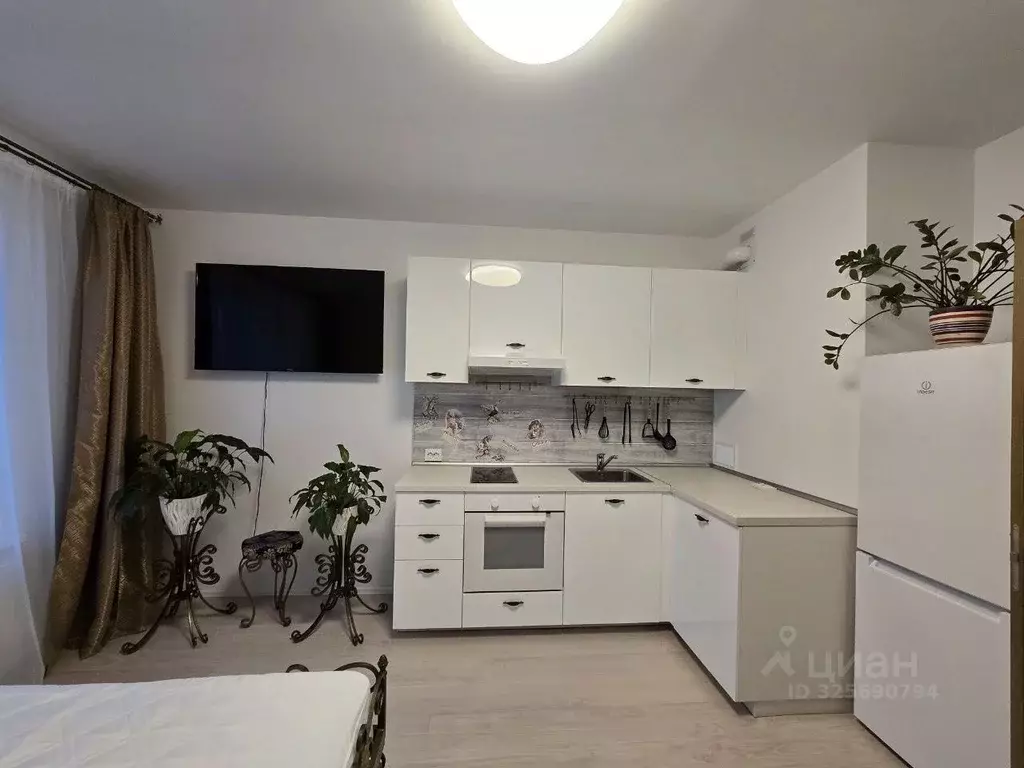 Студия Санкт-Петербург ул. Богословская, 6к3 (30.0 м) - Фото 2