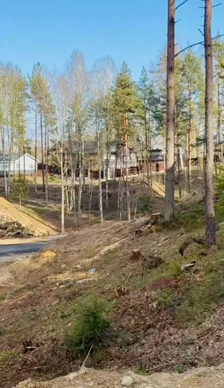 Участок в Ленинградская область, Всеволожский район, Куйвозовское ... - Фото 1