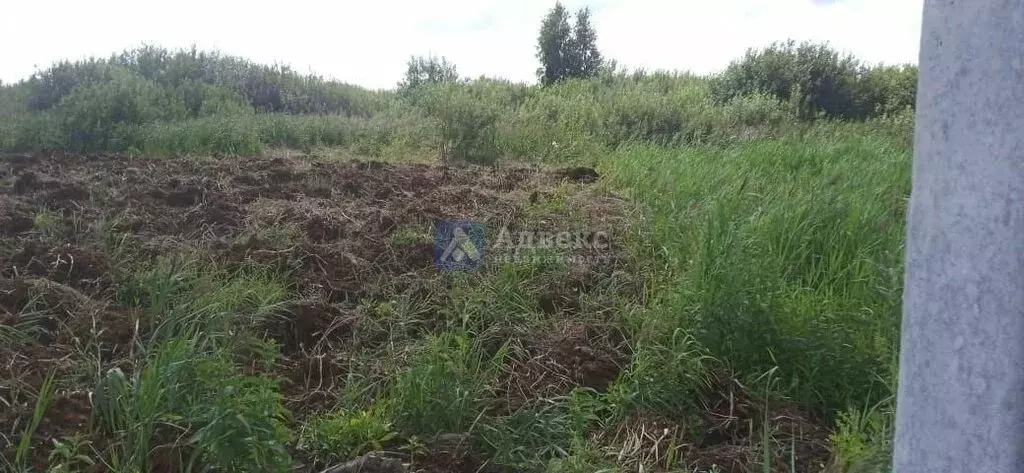 Участок в Тюмень, коттеджный посёлок Славянский двор (8.05 м) - Фото 0