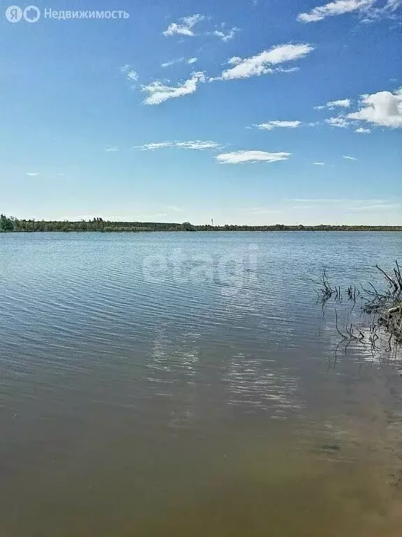 Участок в сельское поселение Красный Профинтерн, деревня Яхробол (12 ... - Фото 0