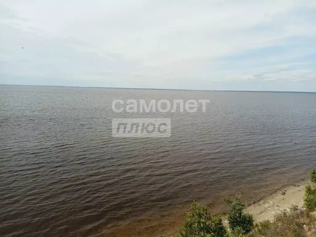 Участок в Нижегородская область, Сокольский муниципальный округ, д. ... - Фото 0