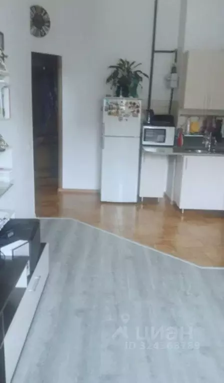 2-к кв. Краснодарский край, Сочи Виноградная ул., 123/7 (42.0 м) - Фото 2