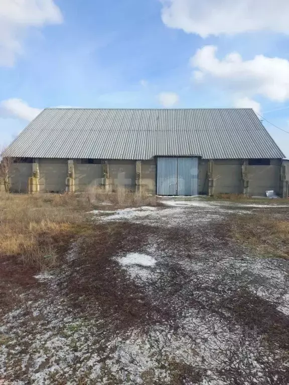 Склад в Ростовская область, Багаевский район, Елкин хут. Стадионная ... - Фото 1