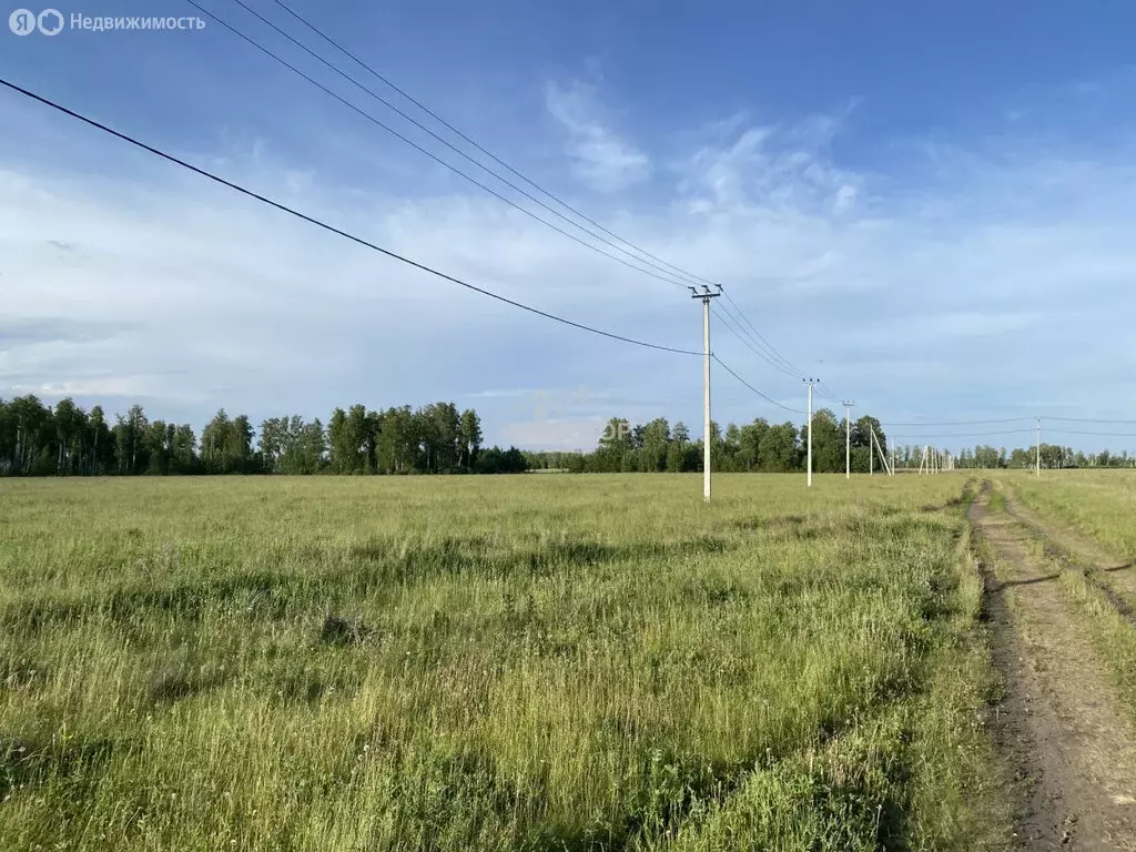 Участок в Красноармейский округ, деревня Пашнино 1-е (8.13 м) - Фото 1