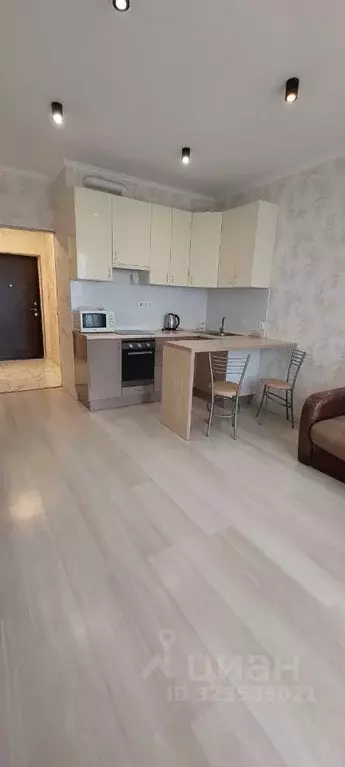 Студия Санкт-Петербург проезд Дизельный, 11к2 (27.0 м) - Фото 1