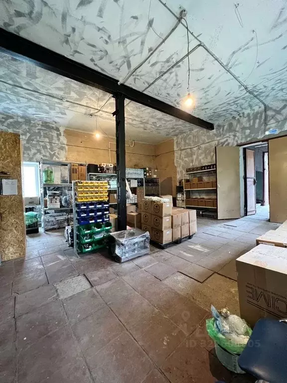 Помещение свободного назначения в Санкт-Петербург 13-я Васильевского ... - Фото 2