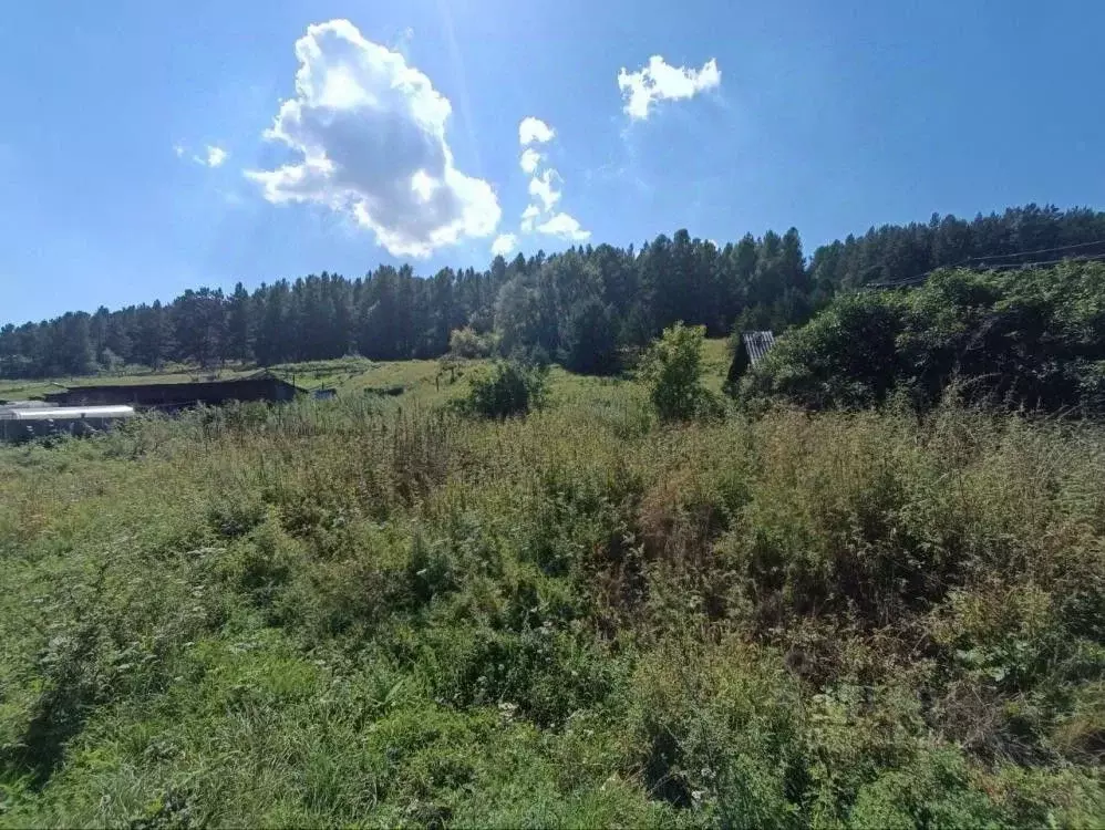 Дом в Иркутская область, Иркутский муниципальный округ, с. Еловка ул. ... - Фото 2