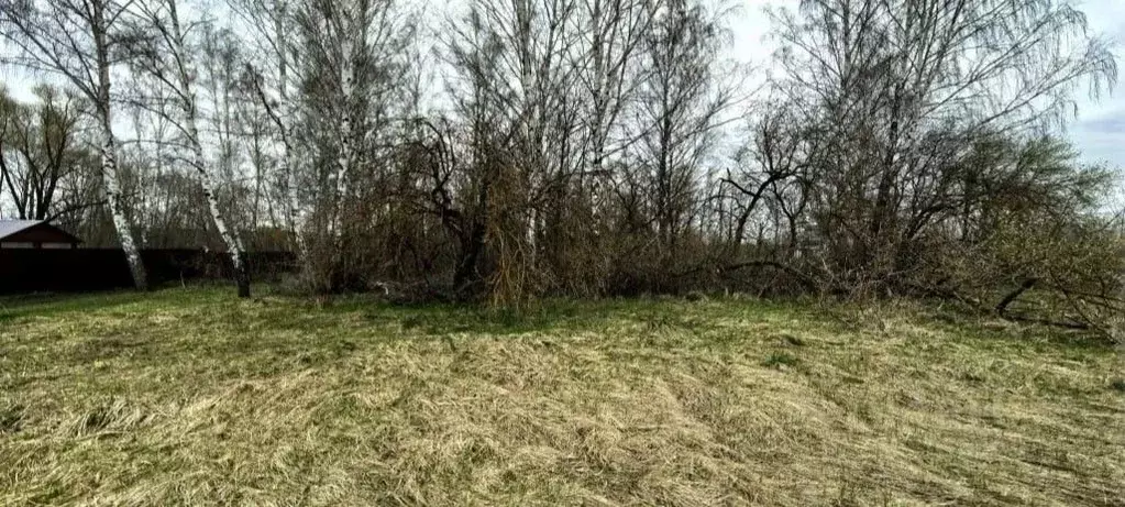 Участок в Московская область, Коломна городской округ, с. Чанки  ... - Фото 1