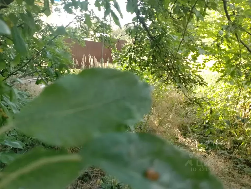 Участок в Ставропольский край, Ставрополь Ремонтник садовое ... - Фото 0