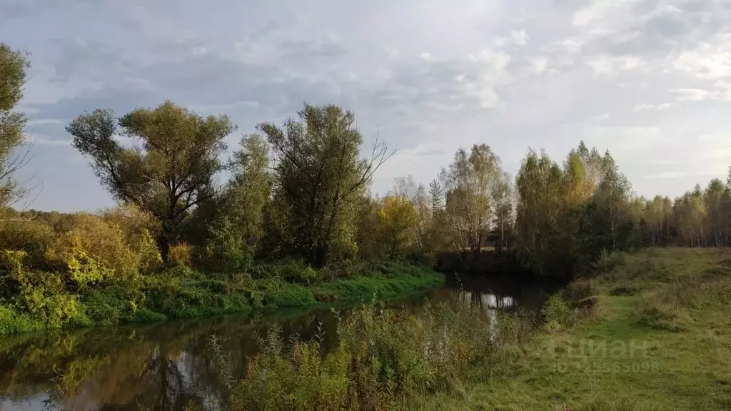 Участок в Московская область, Пушкинский городской округ, д. Березняки ... - Фото 2