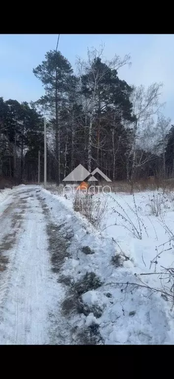 Участок в Новосибирская область, Новосибирский район, Кубовинский ... - Фото 1