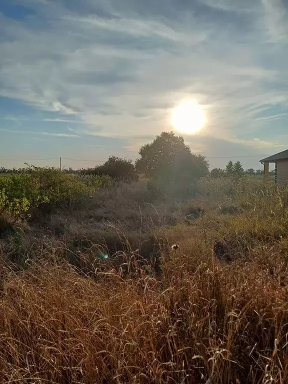 Участок в Краснодарский край, Ейский район, Кухаривское с/пос, с. ... - Фото 2