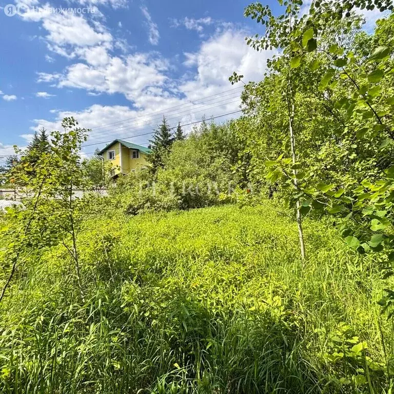 Участок в деревня Сандарово, Луговая улица, 16 (10 м) - Фото 1