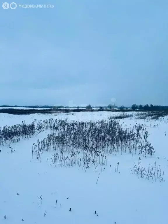 Участок в Калининградская область, Гвардейский муниципальный округ, ... - Фото 1