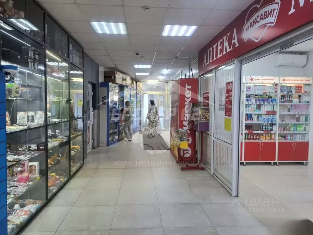 Торговая площадь в Рязанская область, Рязань ул. Гагарина, 25 (500 м) - Фото 2