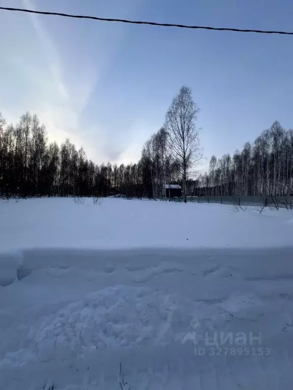 Участок в Нижегородская область, Богородский муниципальный округ, д. ... - Фото 1