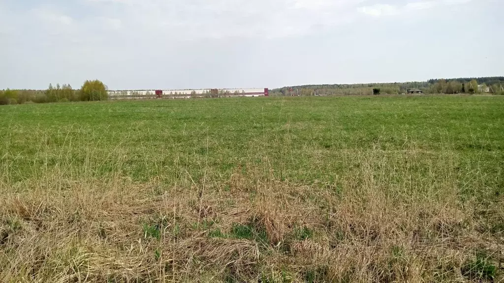 Участок в Московская область, Егорьевск муниципальный округ, д. Юрцово ... - Фото 0