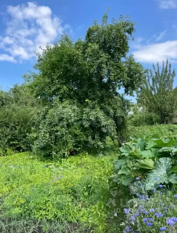 Дом в Красноярский край, Красноярск ул. Алеши Тимошенкова (30 м) - Фото 1