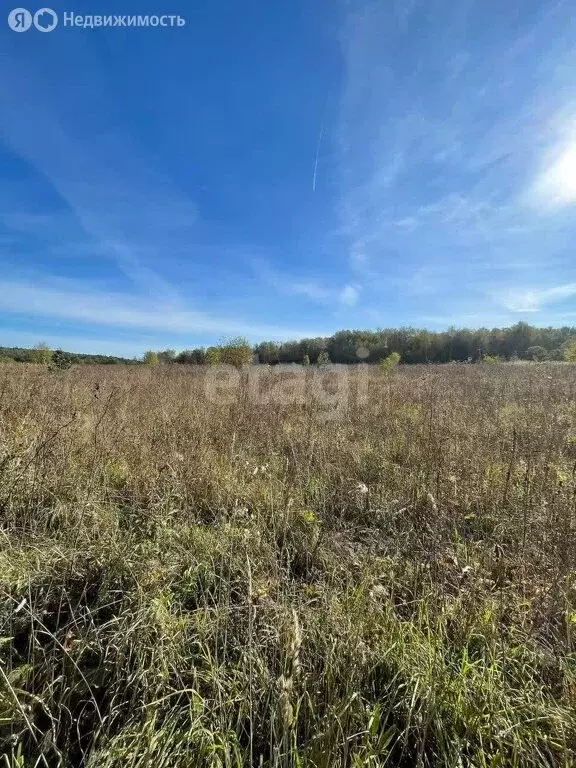 Участок в Калужская область, Тарусский муниципальный округ, сельское ... - Фото 2