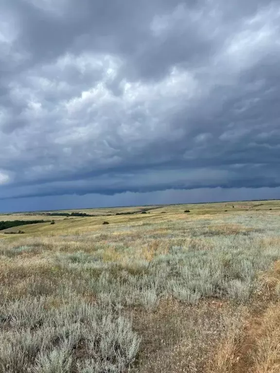 Участок в Волгоградская область, Городище рп ул. Любви (7.0 сот.) - Фото 1