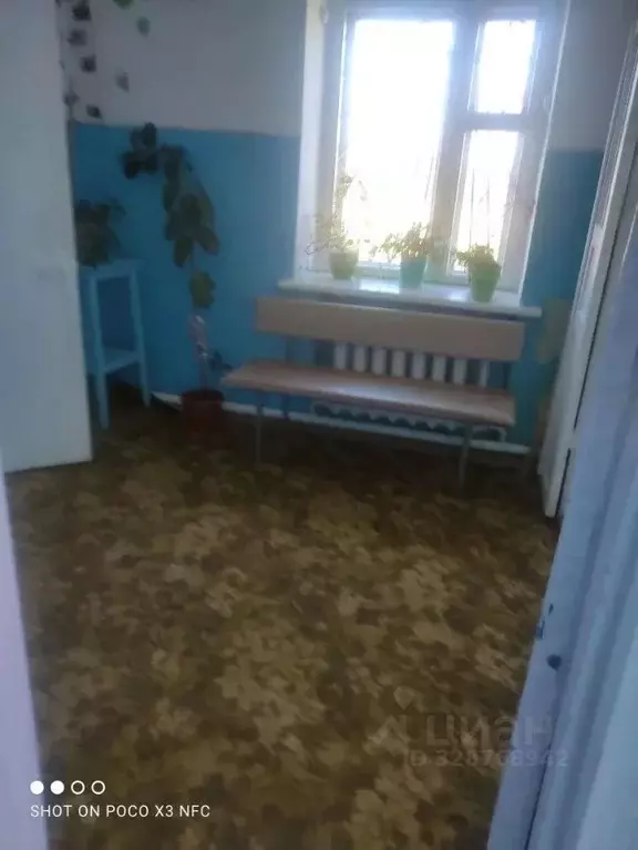 Помещение свободного назначения в Курганская область, Сафакулевский ... - Фото 2