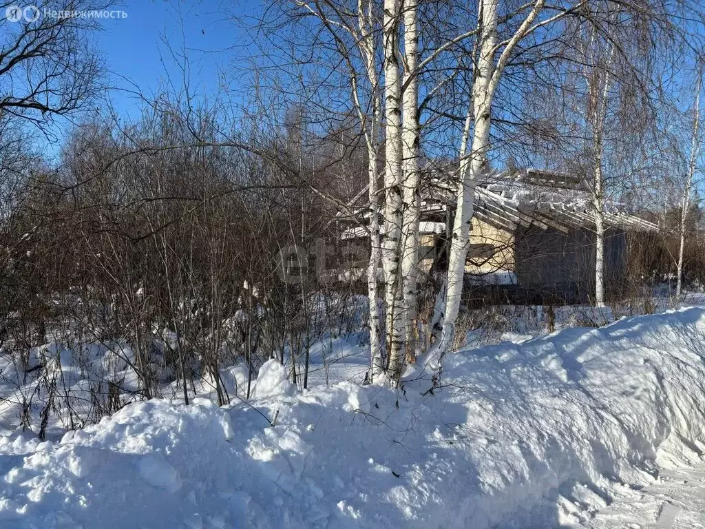Участок в Тюменская область, Нижнетавдинский муниципальный округ, СТ ... - Фото 2