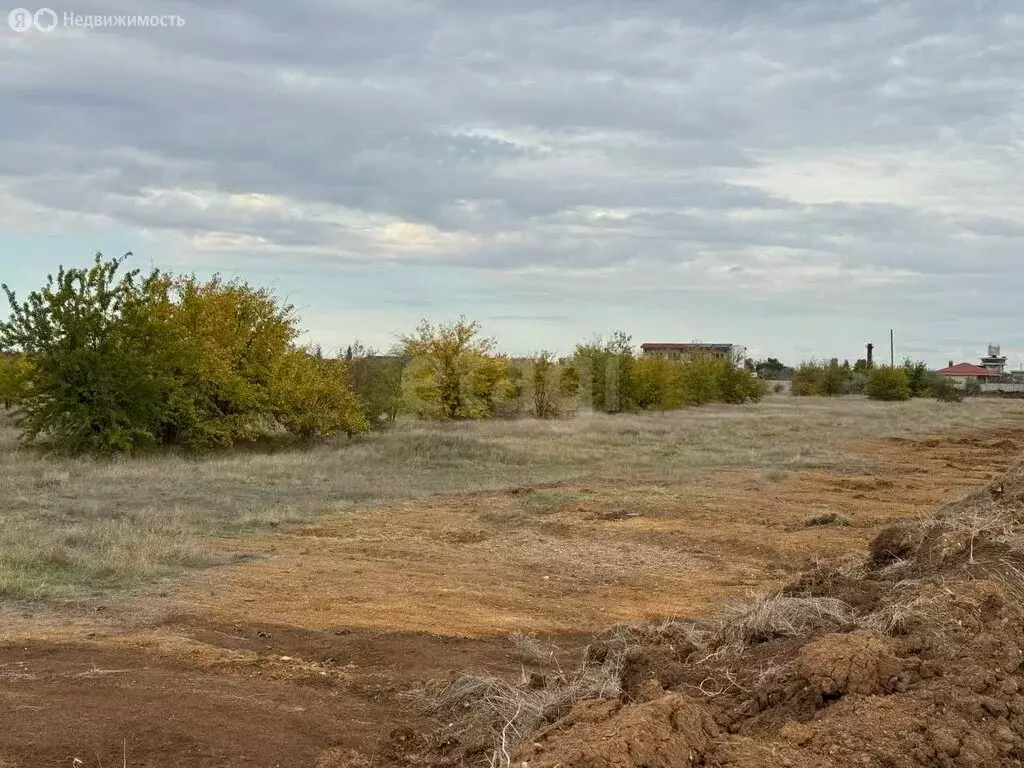 Участок в Сакский район, Ореховское сельское поселение, СНТ Грифон ... - Фото 0